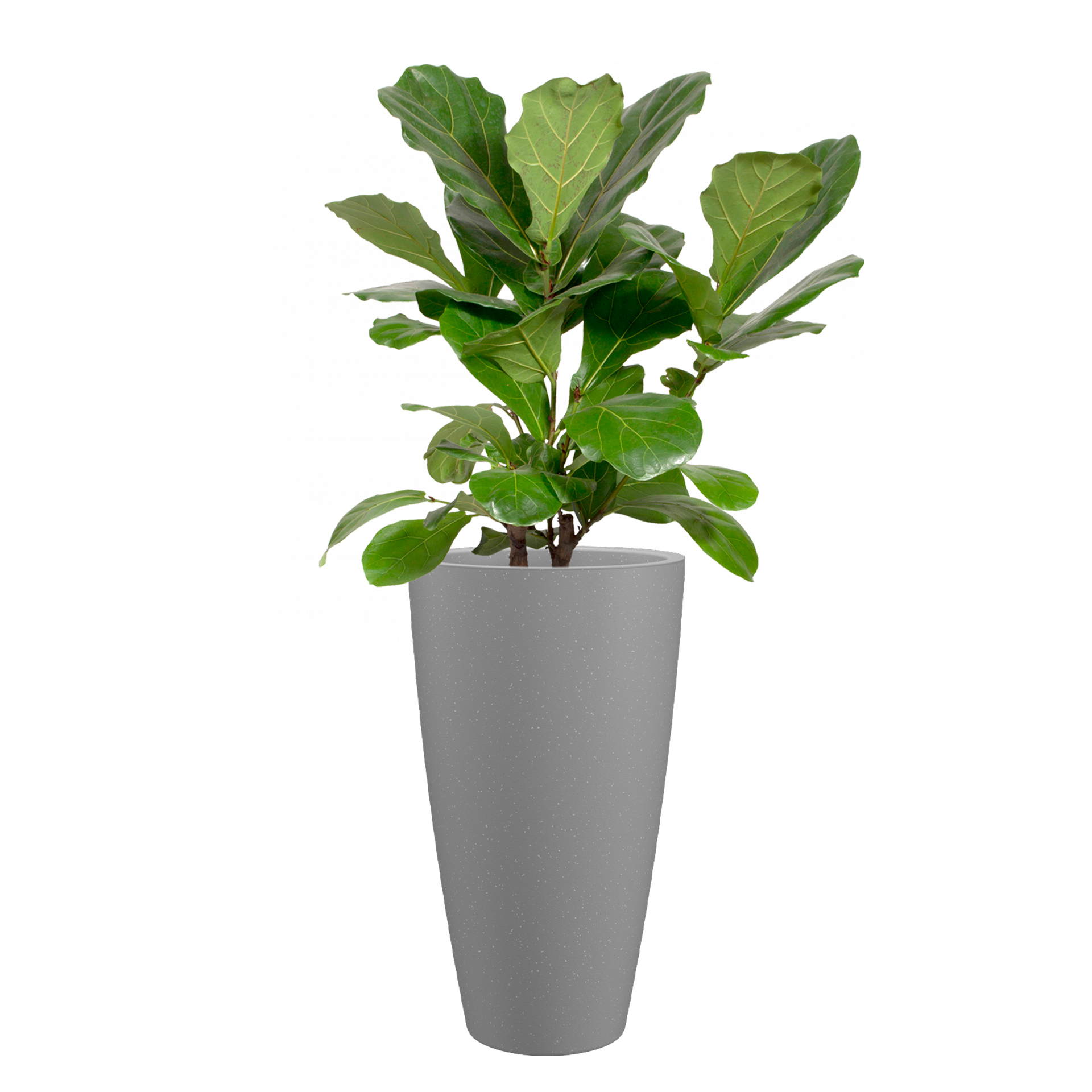 Vaso Havana Natural Cinza 70 CM ARTEVASI