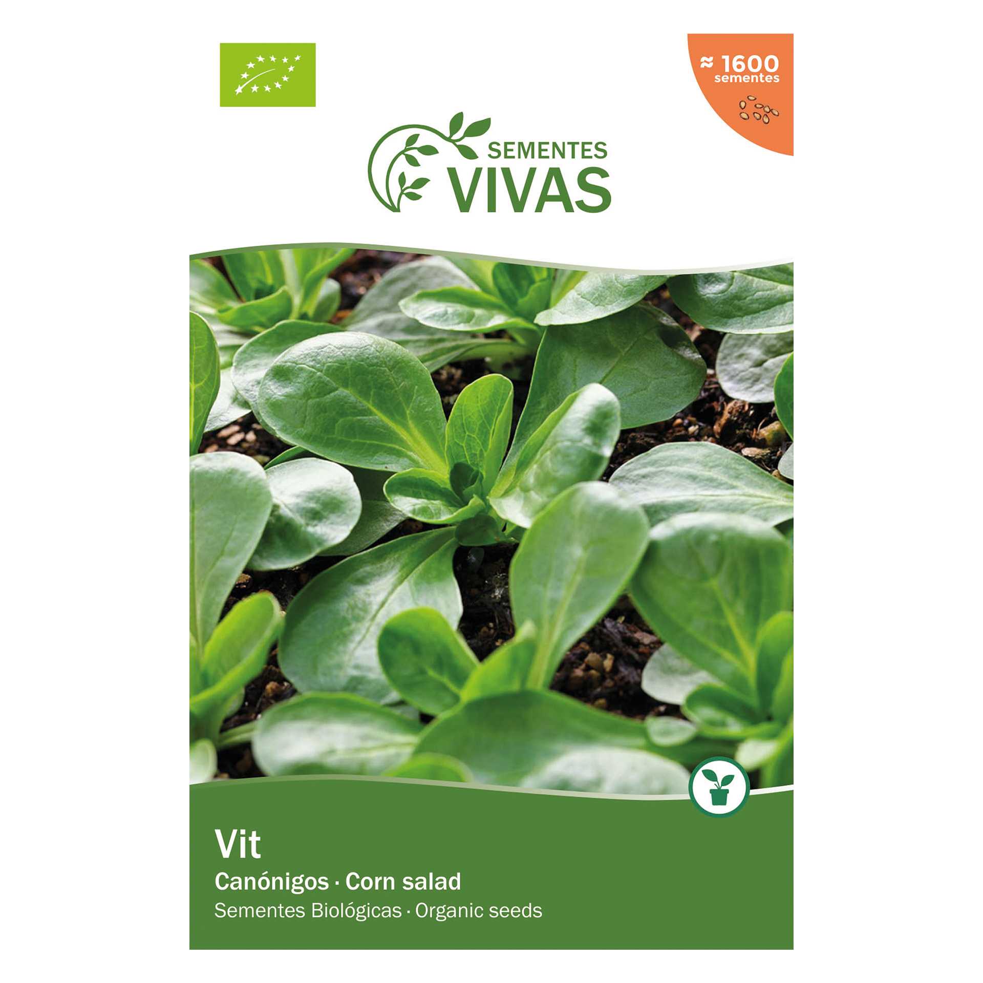 Canonigos 2 G SEMENTES VIVAS