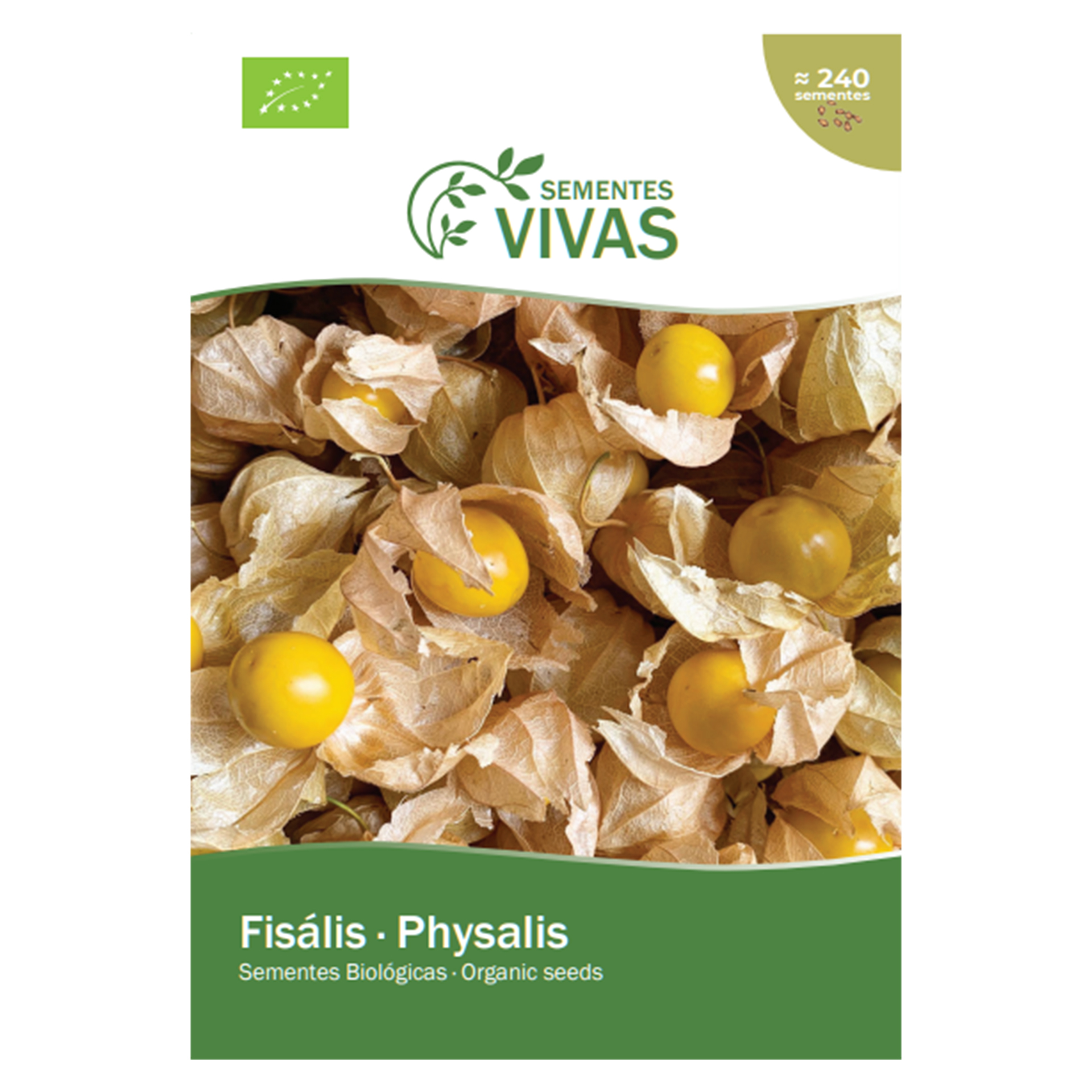 Fisalis 4 G SEMENTES VIVAS