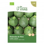 Curgete Di Nizza 4 G SEMENTES VIVAS Curgete Di Nizza 4 G SEMENTES VIVAS