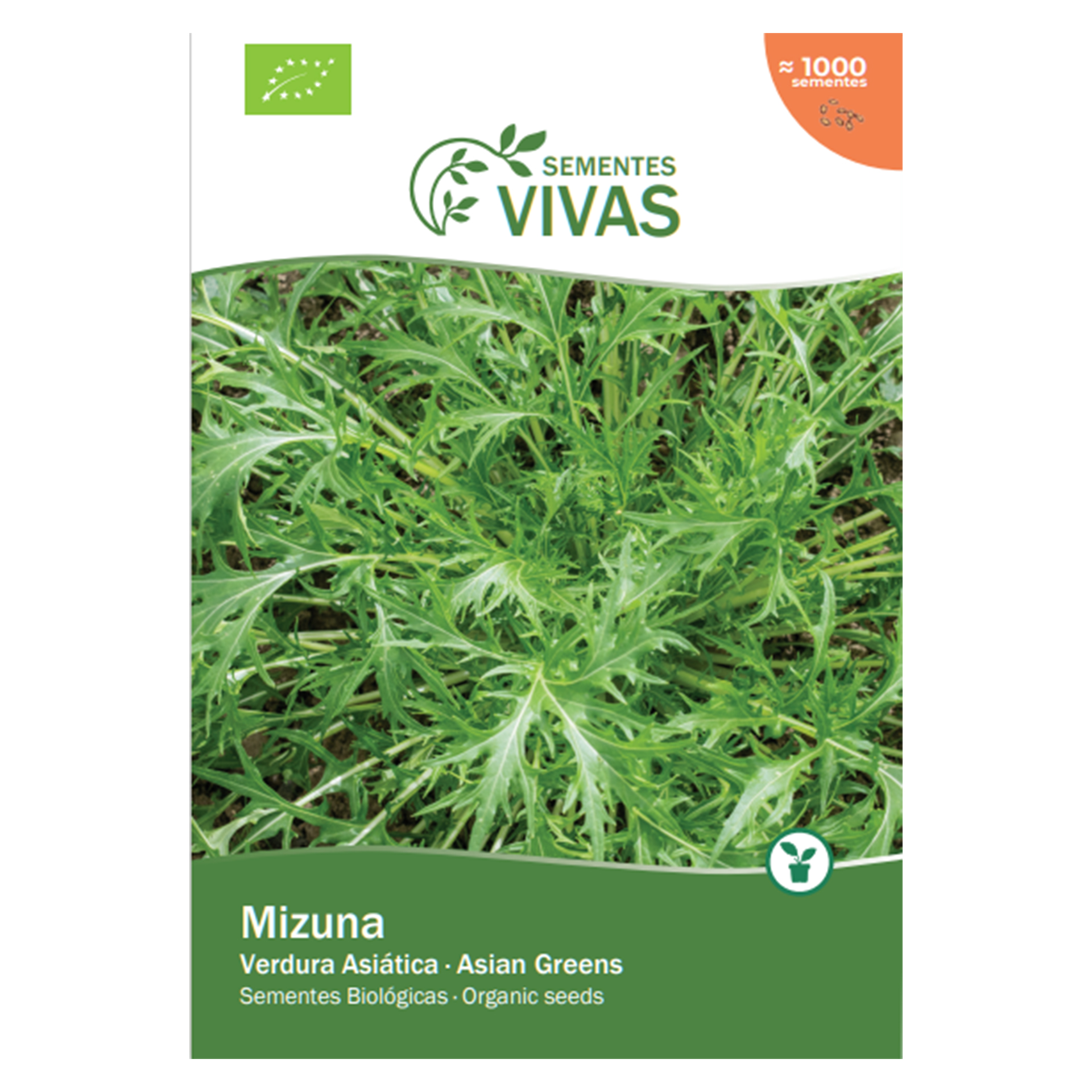 Verdura Asiatica Mizuna 2 G SEMENTES VIVAS