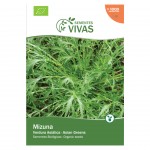 Verdura Asiatica Mizuna 2 G SEMENTES VIVAS Verdura Asiatica Mizuna 2 G SEMENTES VIVAS