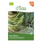 Couve Nabiça 1,5 G SEMENTES VIVAS Couve Nabiça 1,5 G SEMENTES VIVAS