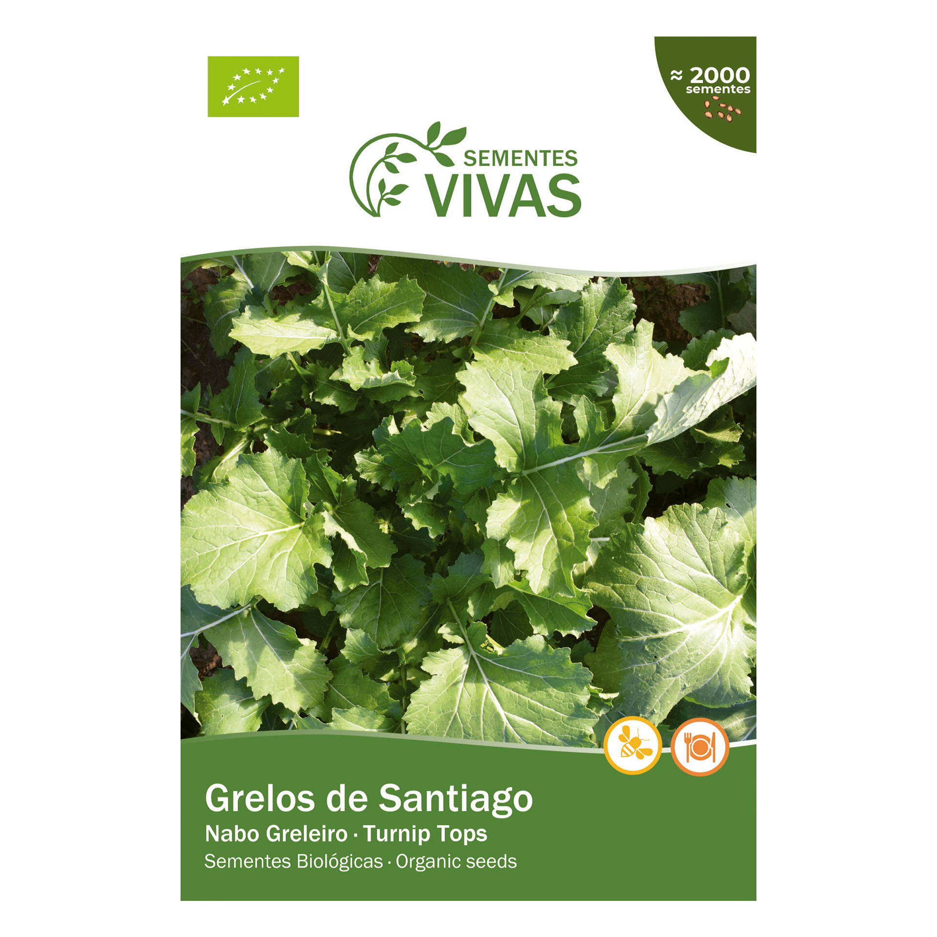 Nabo Gelos De Santiago 5 G SEMENTES VIVAS