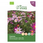 Cosmos Mixed 1 G SEMENTES VIVAS