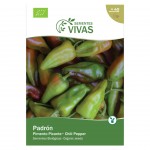 Pimento Padron Bio 0,5 G SEMENTES VIVAS