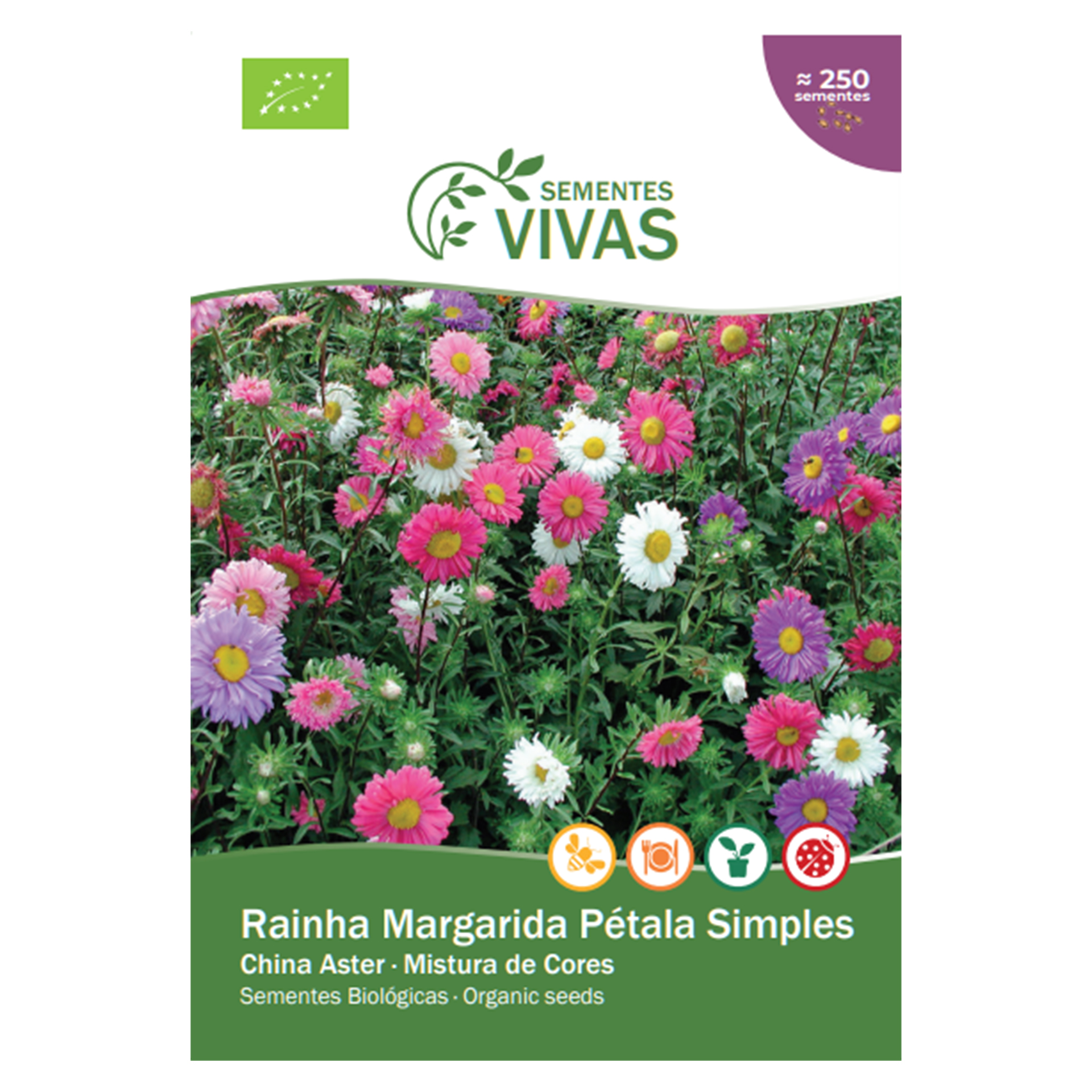 Aster Da China Single Mix 1 G SEMENTES VIVAS