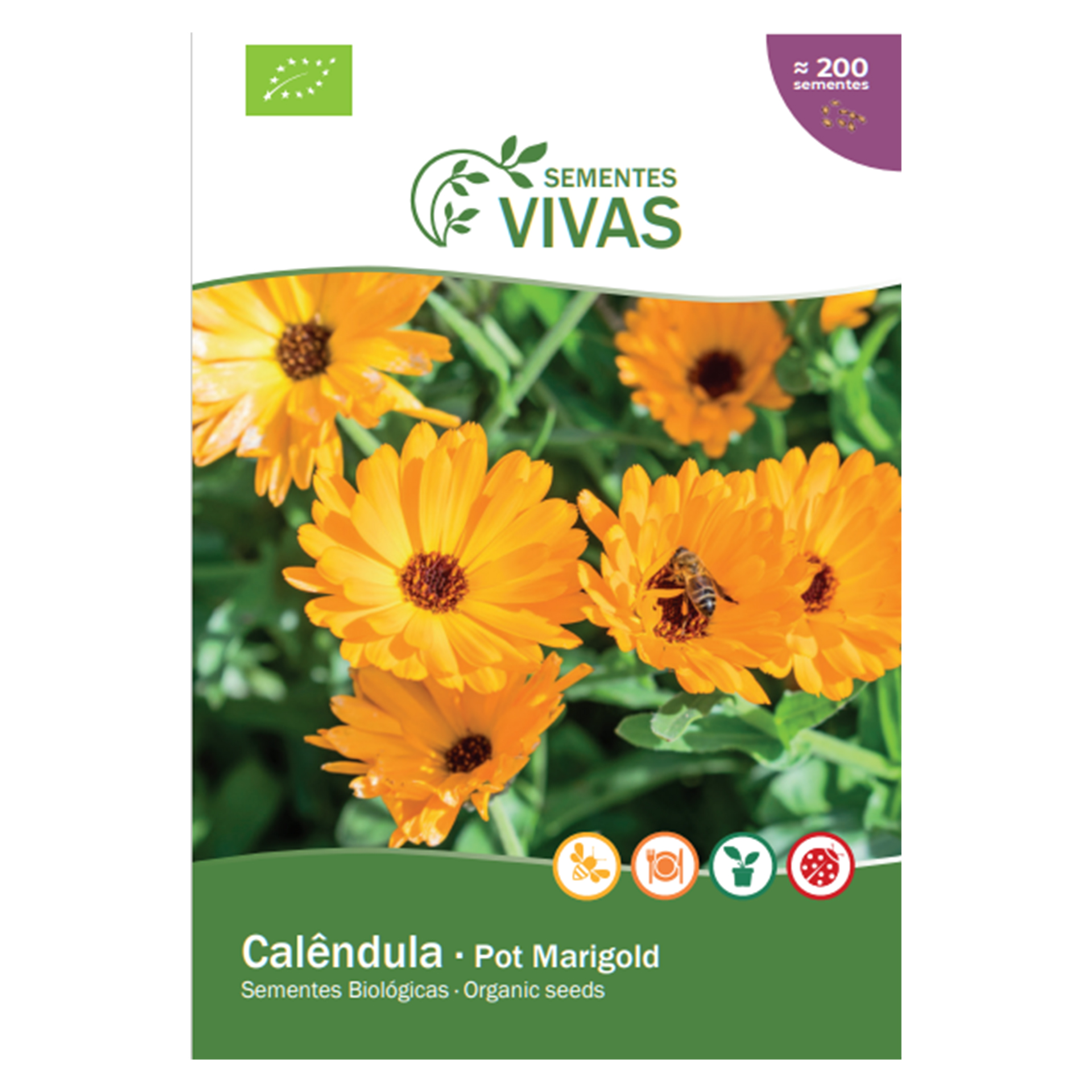 Calendula 1 G SEMENTES VIVAS