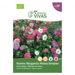 Aster Da China Single Mix 1 G SEMENTES VIVAS Aster Da China Single Mix 1 G SEMENTES VIVAS