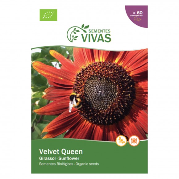 Girassol Vermelho Bio 1 G SEMENTES VIVAS