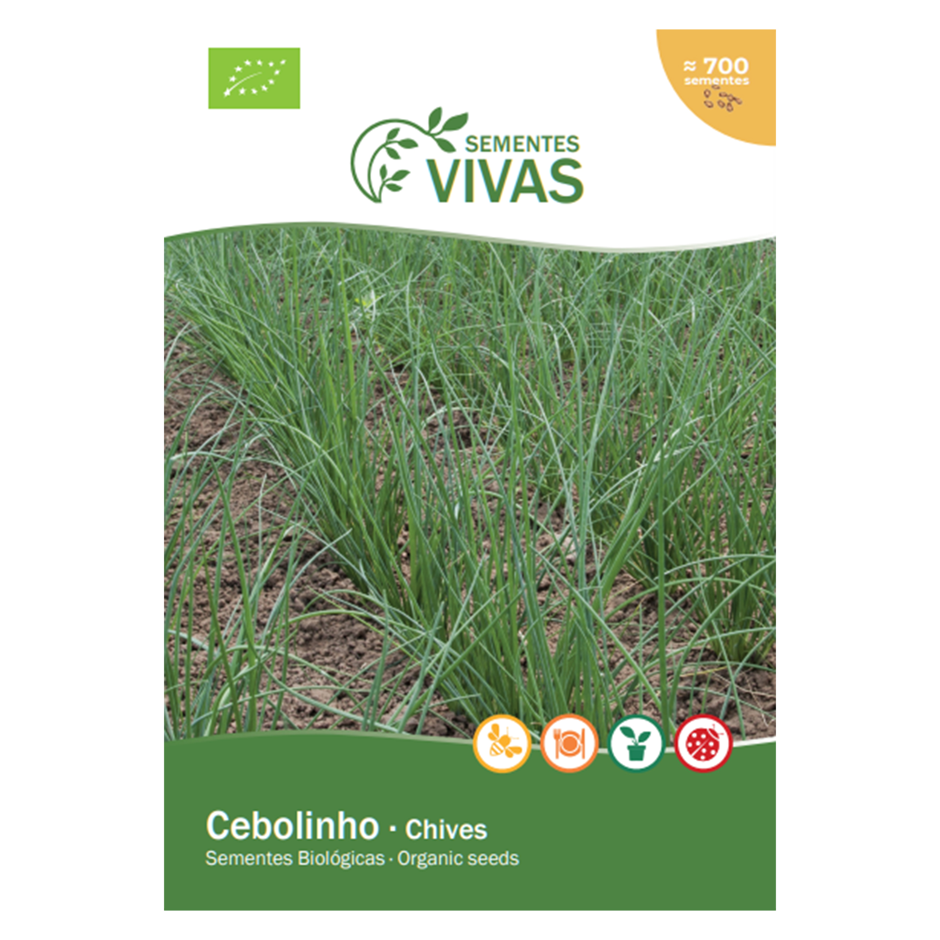 Cebolinho Bio 1 G SEMENTES VIVAS