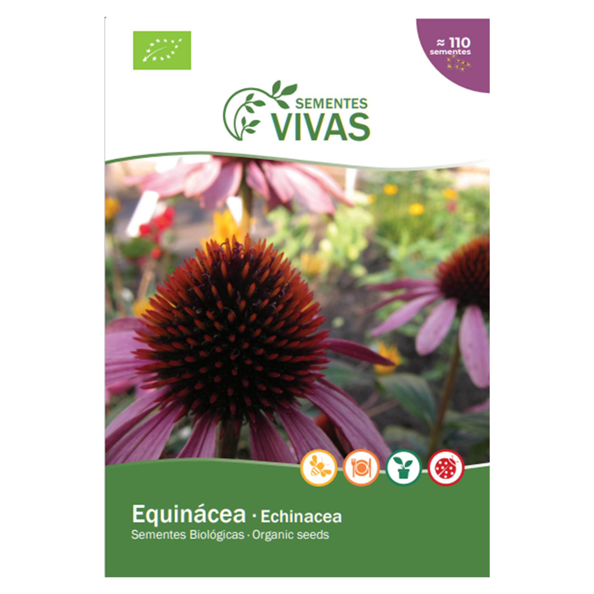 Equinacea Bio 0,5 G SEMENTES VIVAS