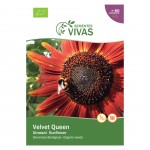 Girassol Vermelho Bio 1 G SEMENTES VIVAS