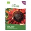 Girassol Vermelho Bio 1 G SEMENTES VIVAS