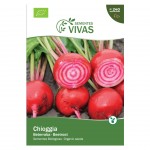 Beterraba Tonda Chioggia 3 G SEMENTES VIVAS Beterraba Tonda Chioggia 3 G SEMENTES VIVAS