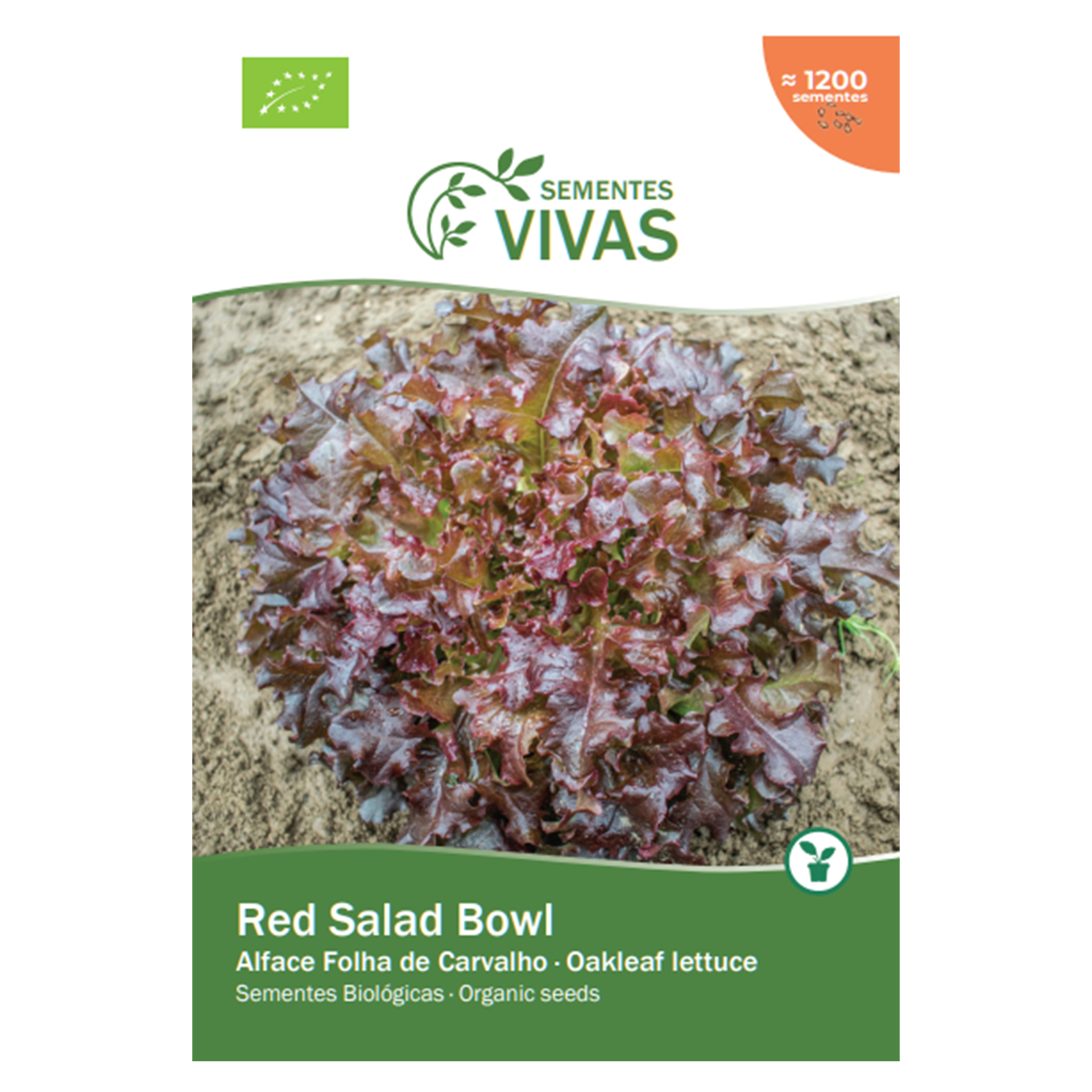 Alface Red Salad Bowl 1 G SEMENTES VIVAS