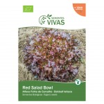 Alface Red Salad Bowl 1 G SEMENTES VIVAS