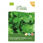 Salsa Gigante Itália 2 G SEMENTES VIVAS Salsa Gigante Itália 2 G SEMENTES VIVAS