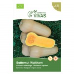 Abbora Butternut Walt 2 G SEMENTES VIVAS
