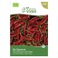 Pimento De Cayenne 0,3 G SEMENTES VIVAS