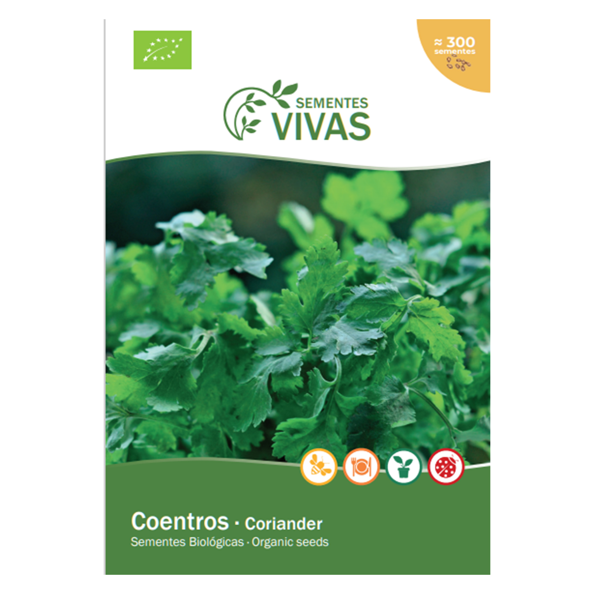 Coentro 4 G SEMENTES VIVAS