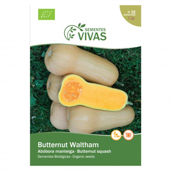 Abbora Butternut Walt 2 G SEMENTES VIVAS