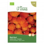 Abbora Red Kuri  2 G SEMENTES VIVAS