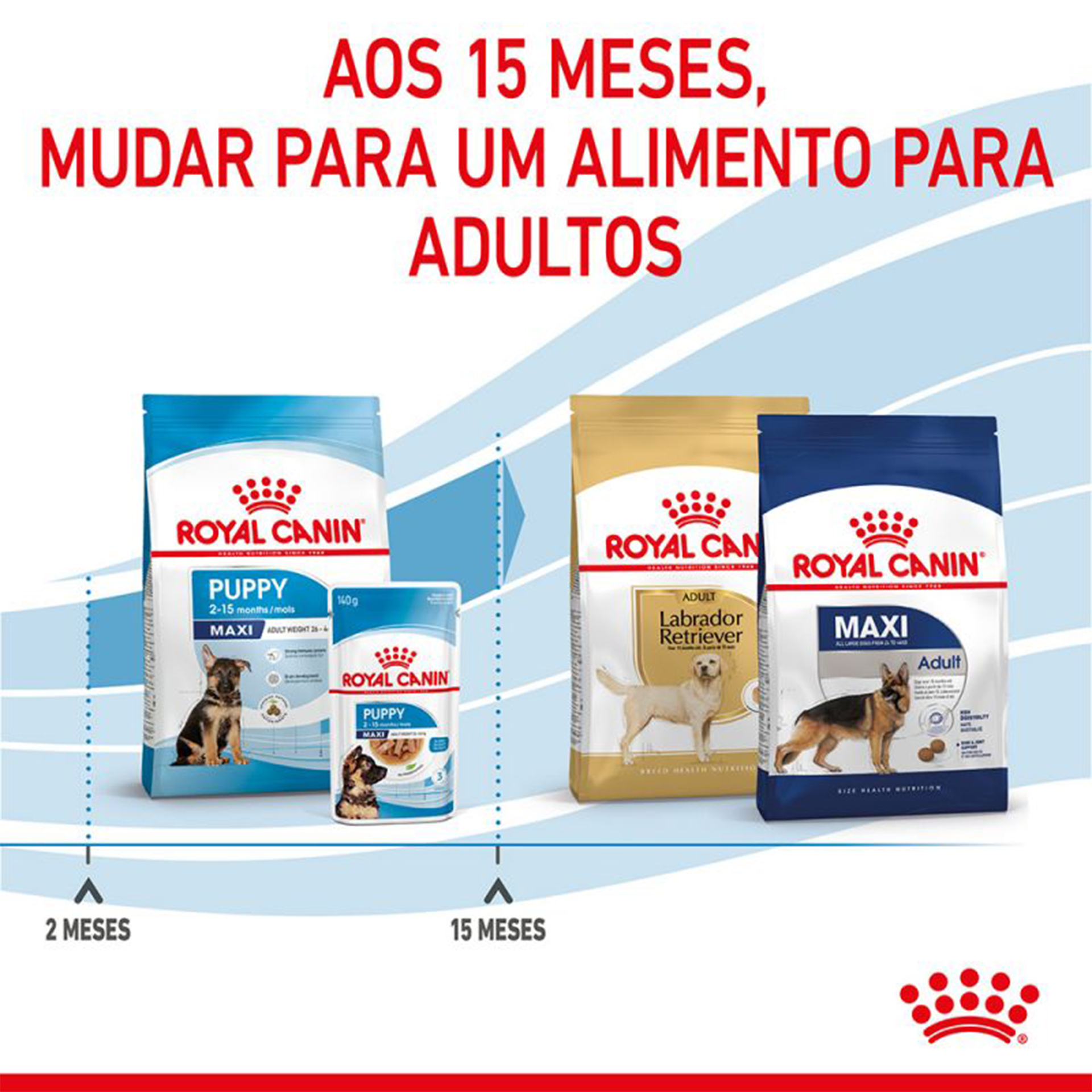 Alimento Seco Para Cachorro Maxi 4 KG ROYAL CANIN