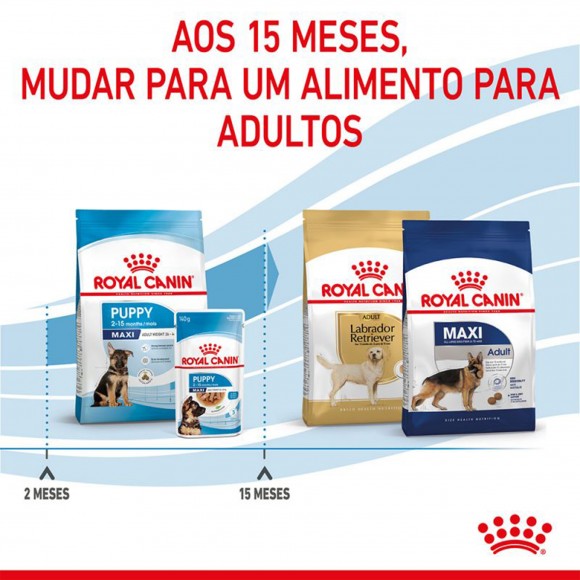 ALIMENTO SECO PARA CACHORRO-MAXI PUPPY