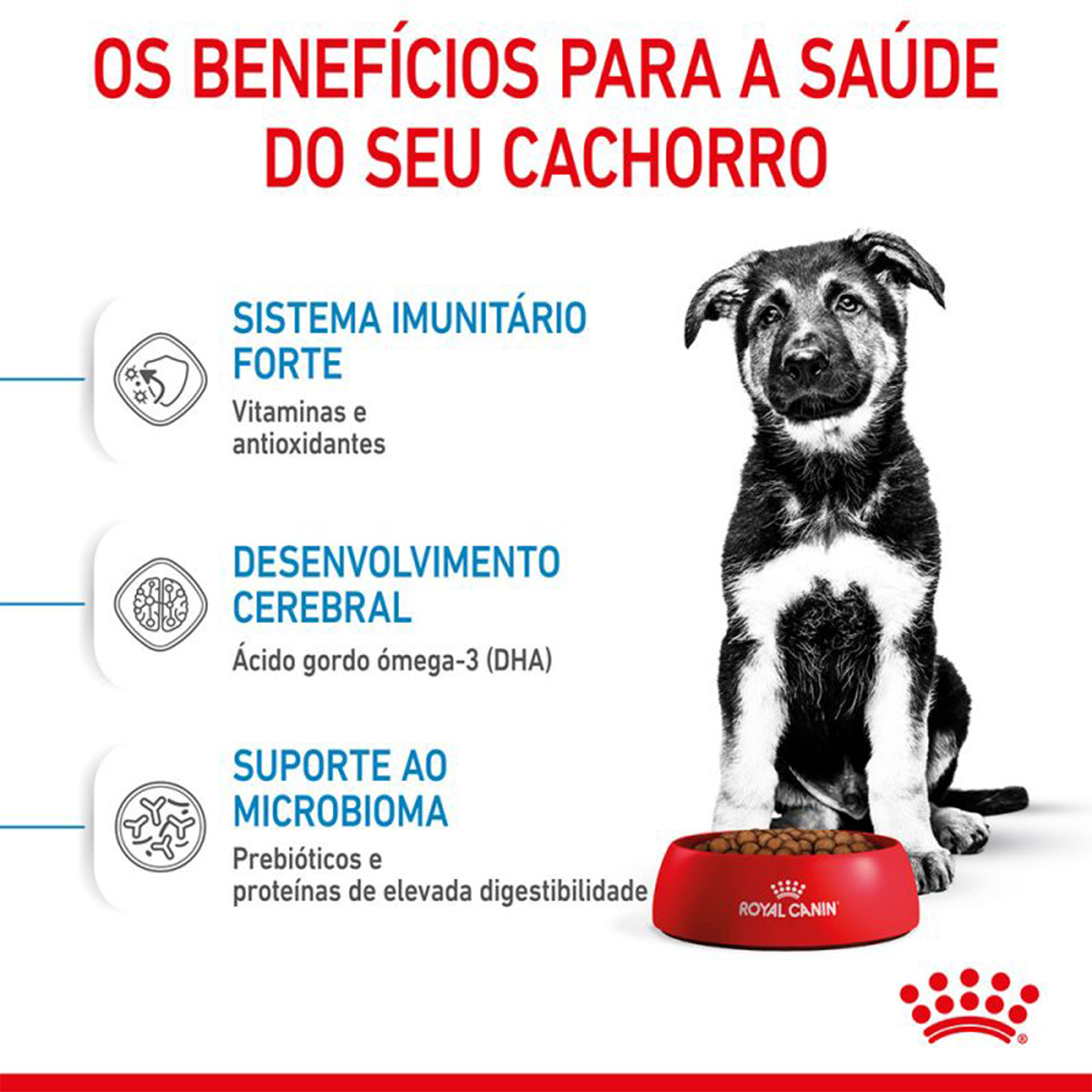 Alimento Seco Para Cachorro Maxi 4 KG ROYAL CANIN