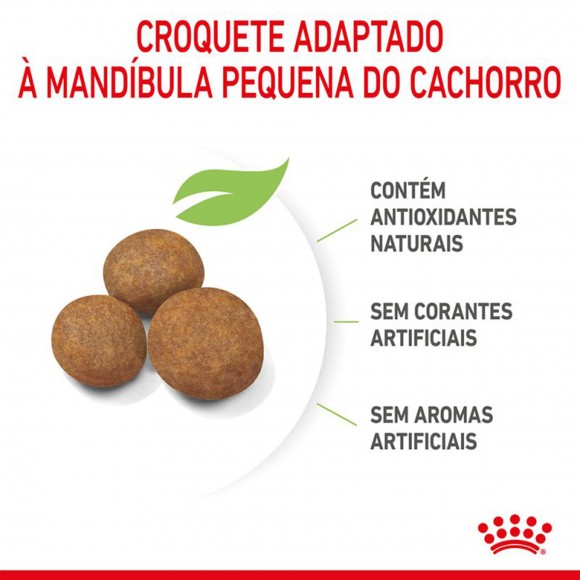 ALIMENTO SECO PARA CACHORRO-MAXI PUPPY