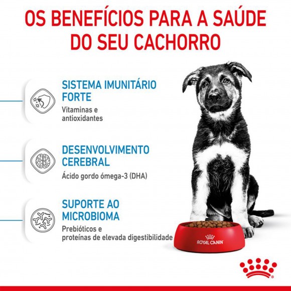 ALIMENTO SECO PARA CACHORRO-MAXI PUPPY