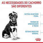 Alimento Seco Para Cachorro Maxi 4 KG ROYAL CANIN