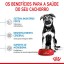 ALIMENTO SECO PARA CACHORRO-MAXI PUPPY