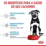 Alimento Seco Para Cachorro Maxi 4 KG ROYAL CANIN