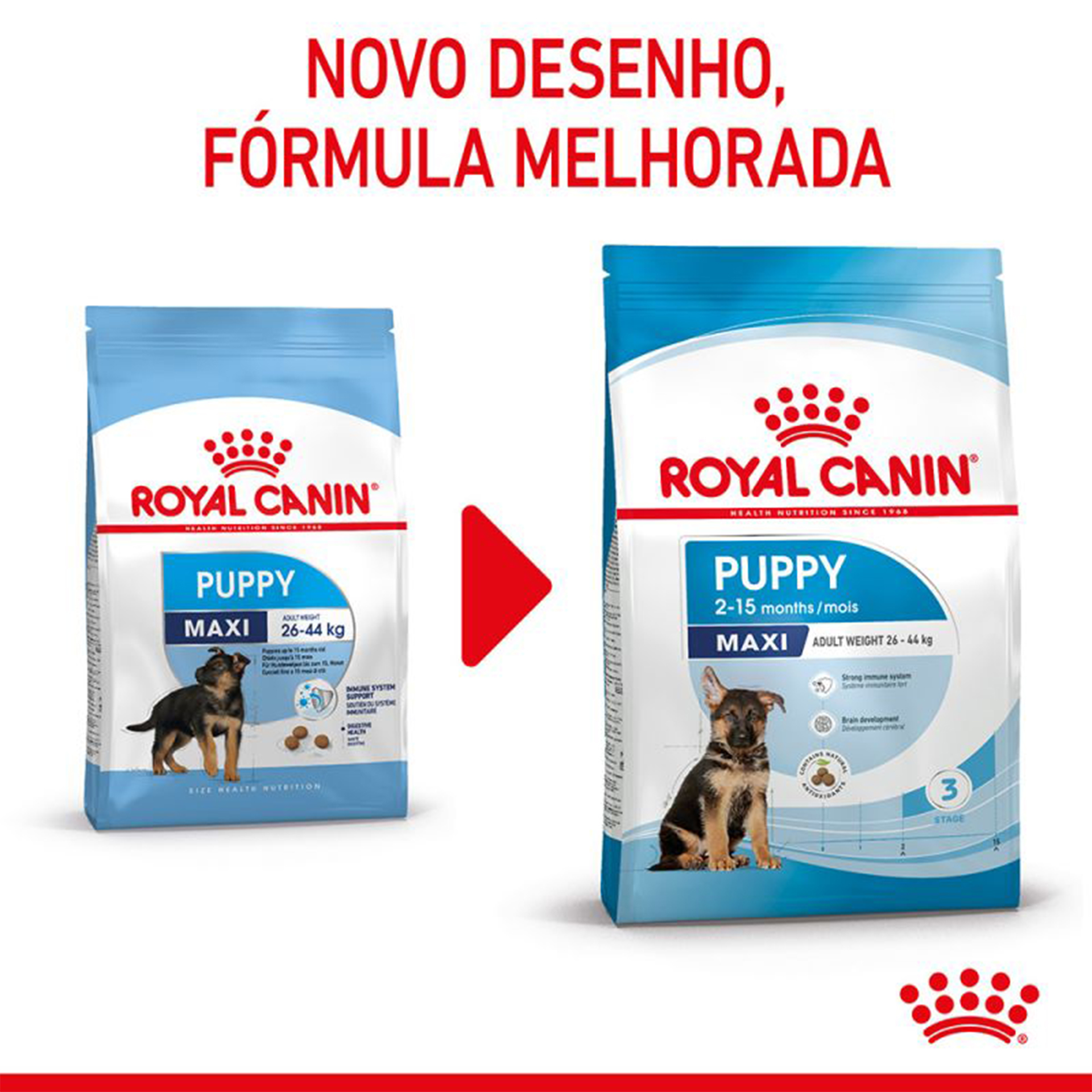 Alimento Seco Para Cachorro Maxi 4 KG ROYAL CANIN