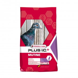 Versele-laga alimento pombos-mutine plus i.c +20kg