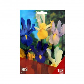 Iris Mix 10 Bolbos