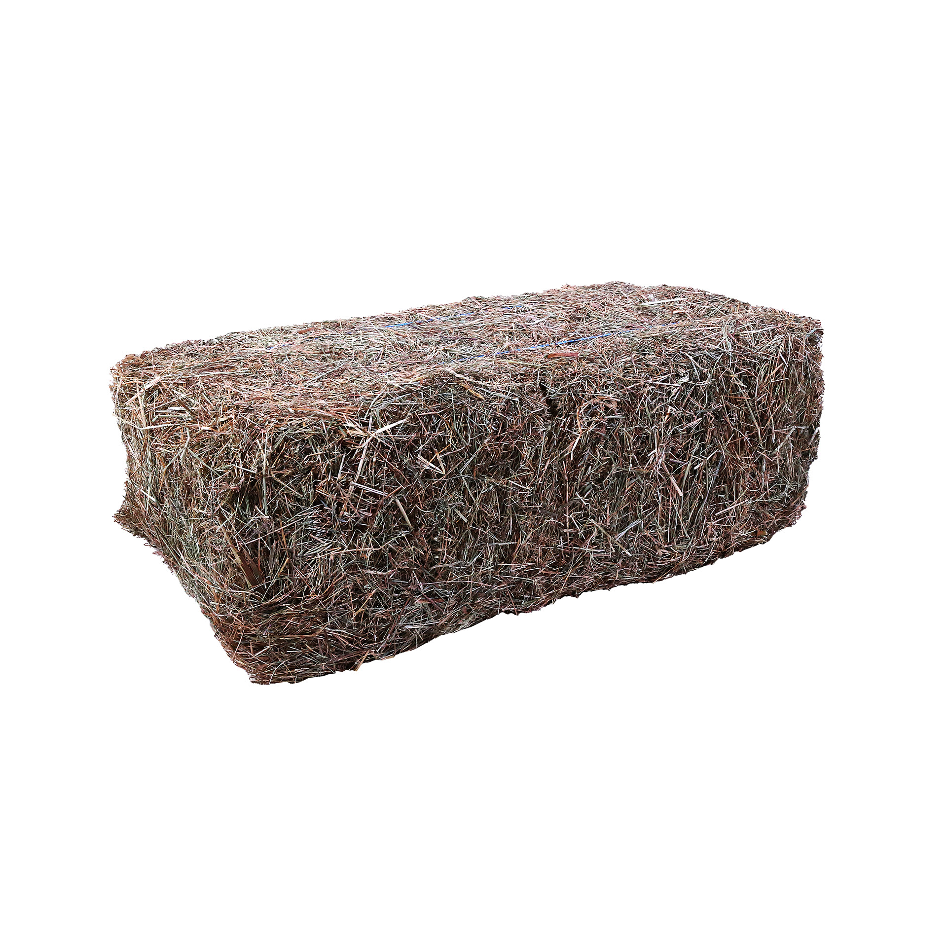 FARDO PEQUENO FENO AZEVÉM 15-20 KG