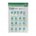 Semente Relva Reparadora 1 KG ROCALBA Semente Relva Reparadora 1 KG ROCALBA