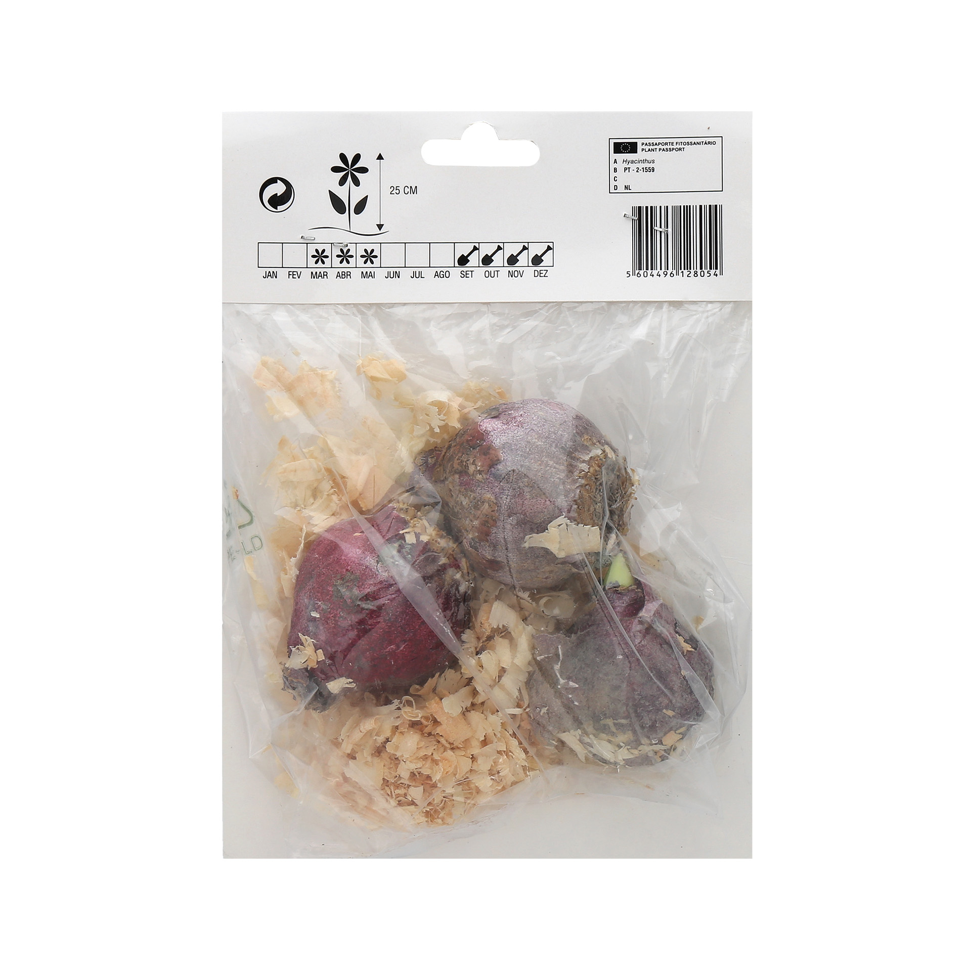 Jacinto Mix 3 Bolbos