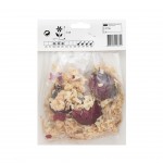 Jacinto Roxo 3 Bolbos