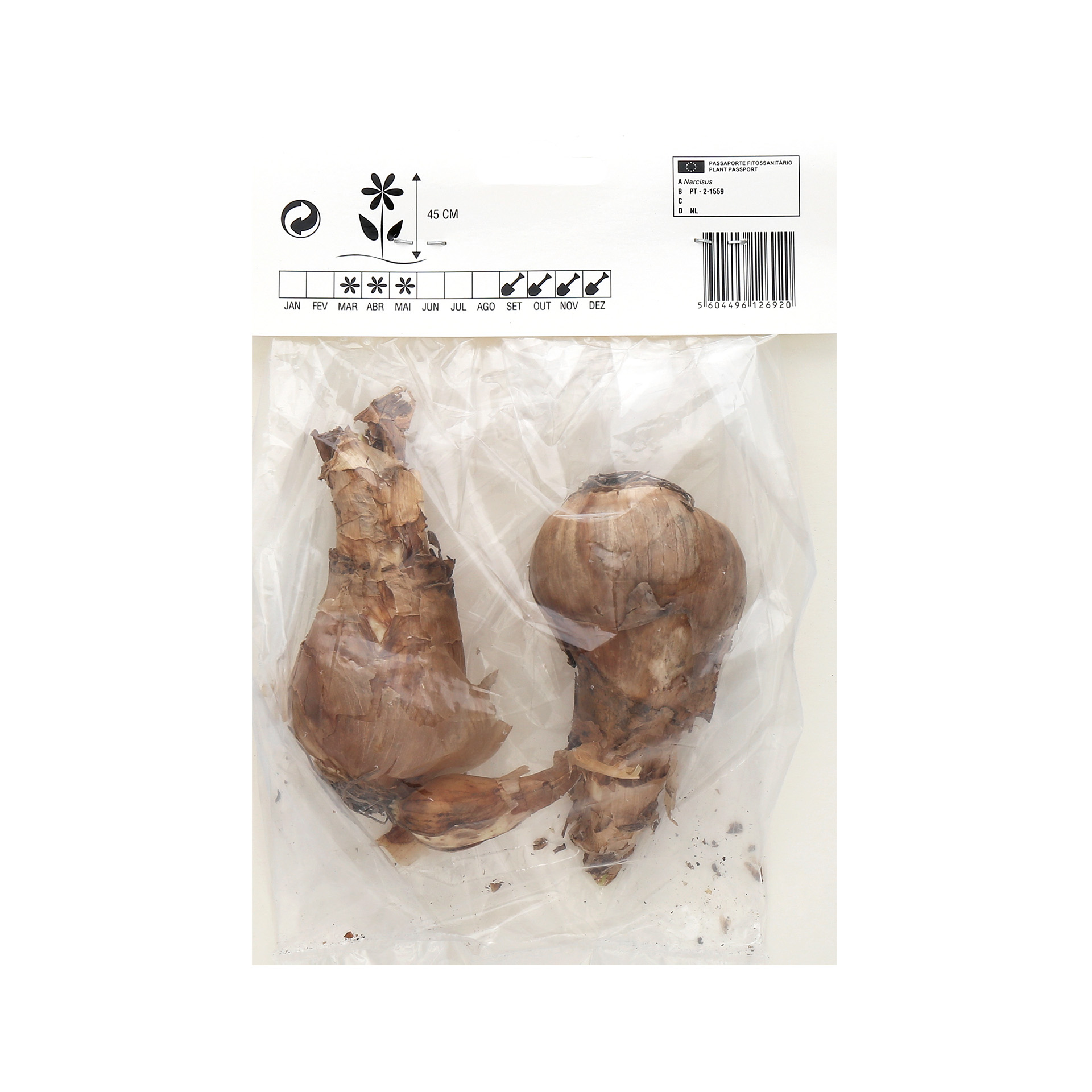 Narciso Dobrado Amarelo/Vermelho 2 Bolbos