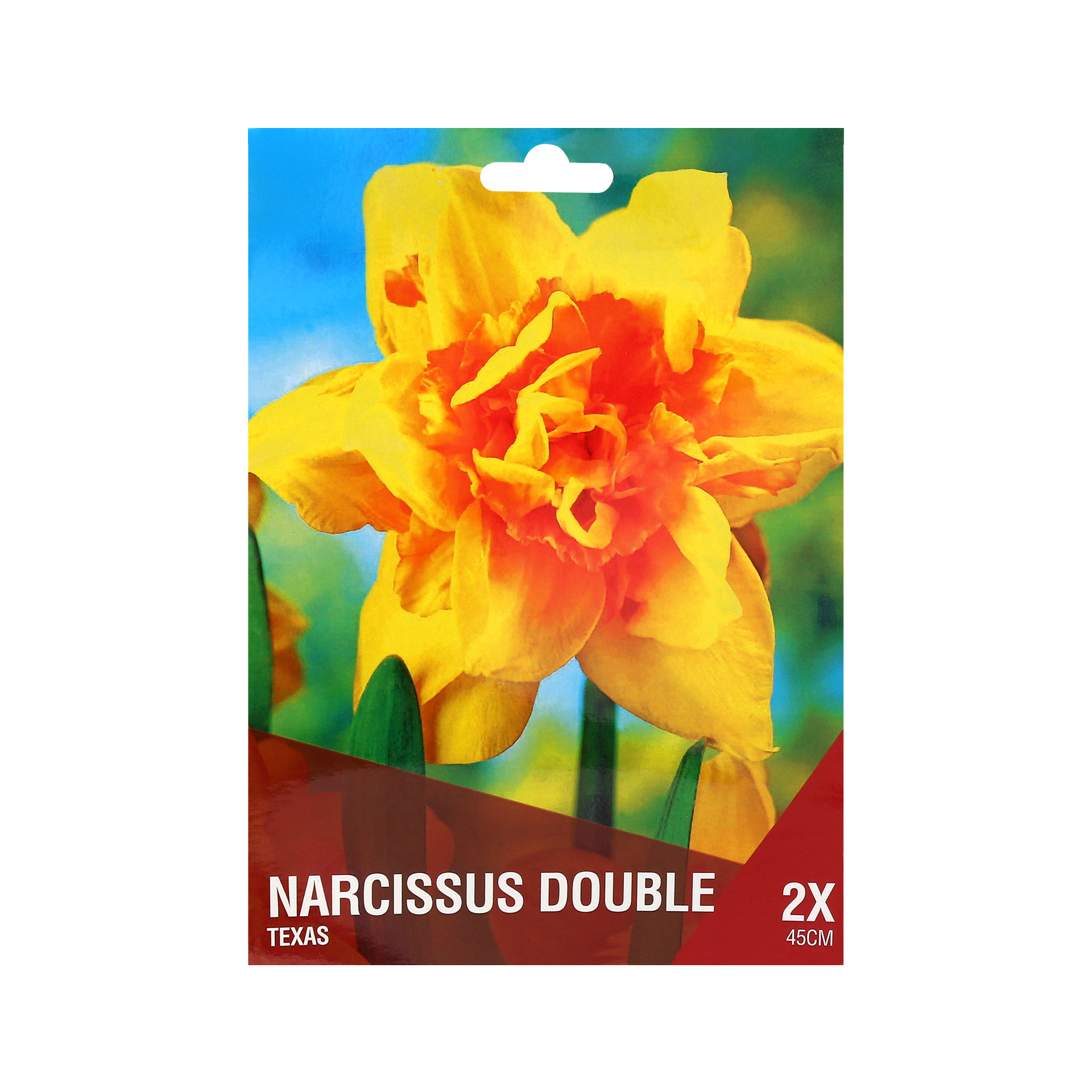 Narciso Dobrado Amarelo/Vermelho 2 Bolbos