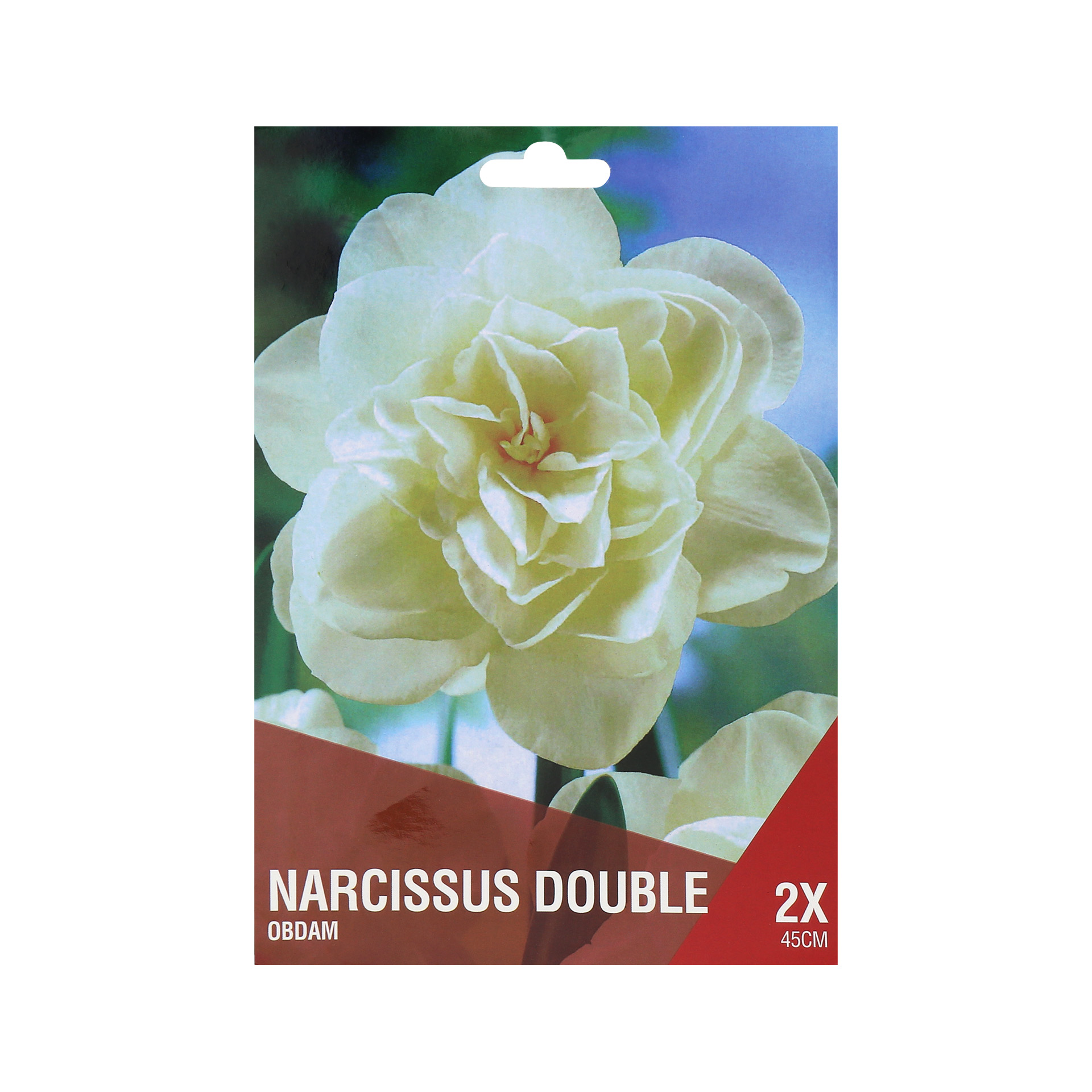 Narciso Dobrado Branco  2 Bolbos