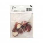 Tulipa Lily Laranja 5 Bolbos Tulipa Lily Laranja 5 Bolbos