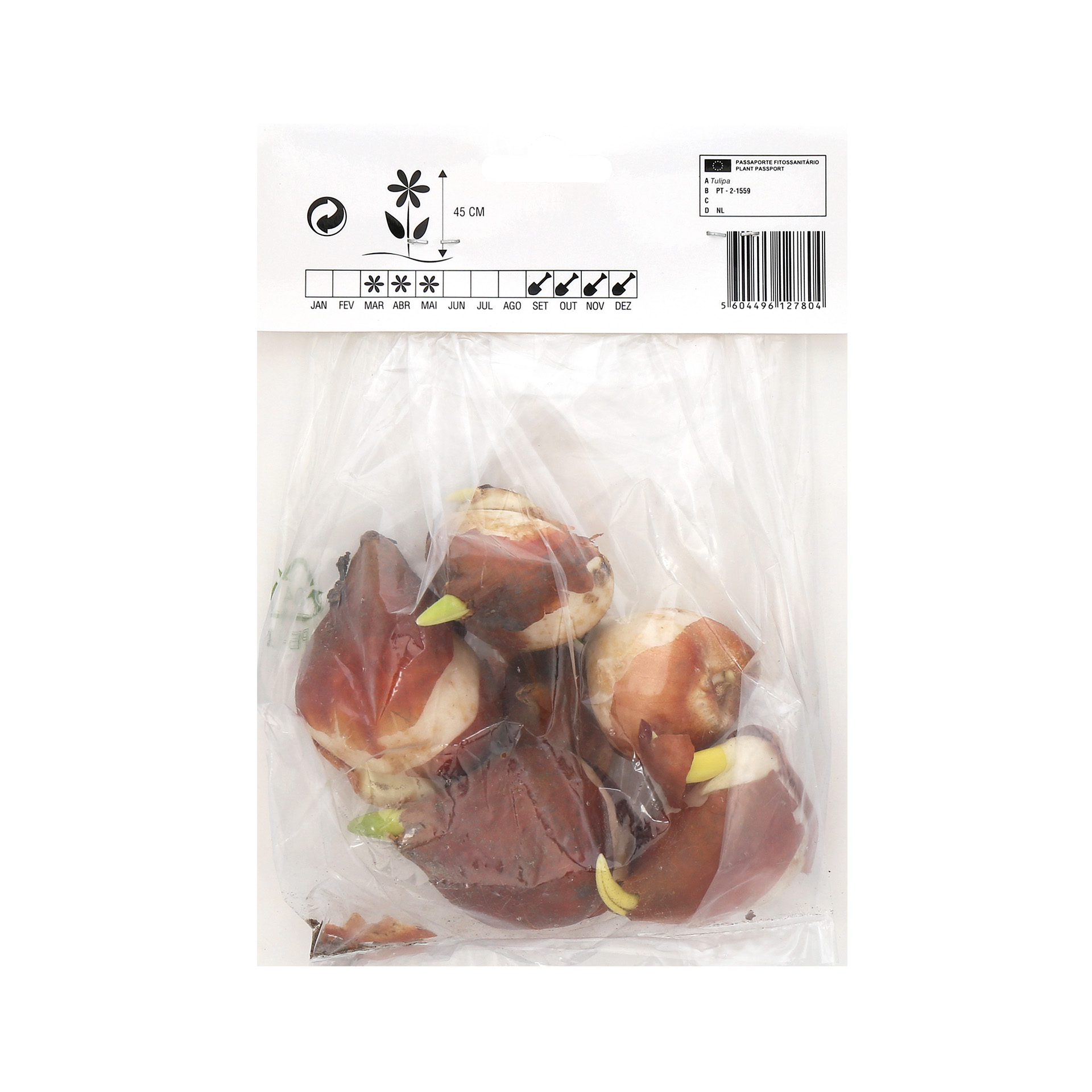 TULIPA DOBRADA MIX 5 BOLBOS