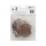 SELAGGINELLA 1 BOLBO