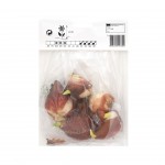 TULIPA DOBRADA MIX 5 BOLBOS