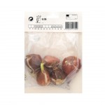 Tulipa Lily Branca 5 Bolbos